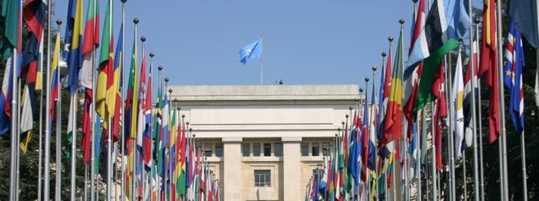GRIP overlegt met VN-Comité in Genève
